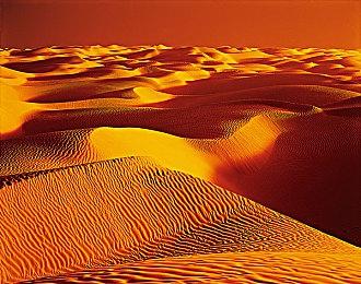 首批《黑神话：悟空》实体版发货！820元起 百万人疯抢