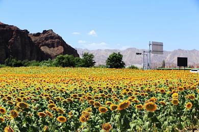 《黑暗之死》发售日预告 1月24日发售